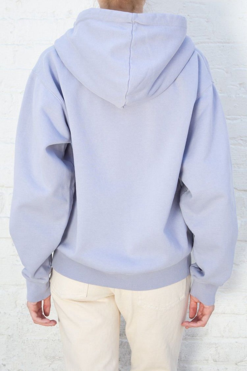 Sweat a Capuche Brandy Melville Christy Bleu Clair | NNK-75618852